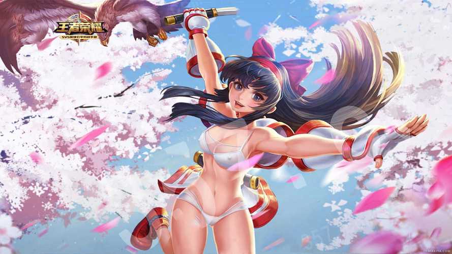 王者荣耀衣服删除助手6.0.30-（王者